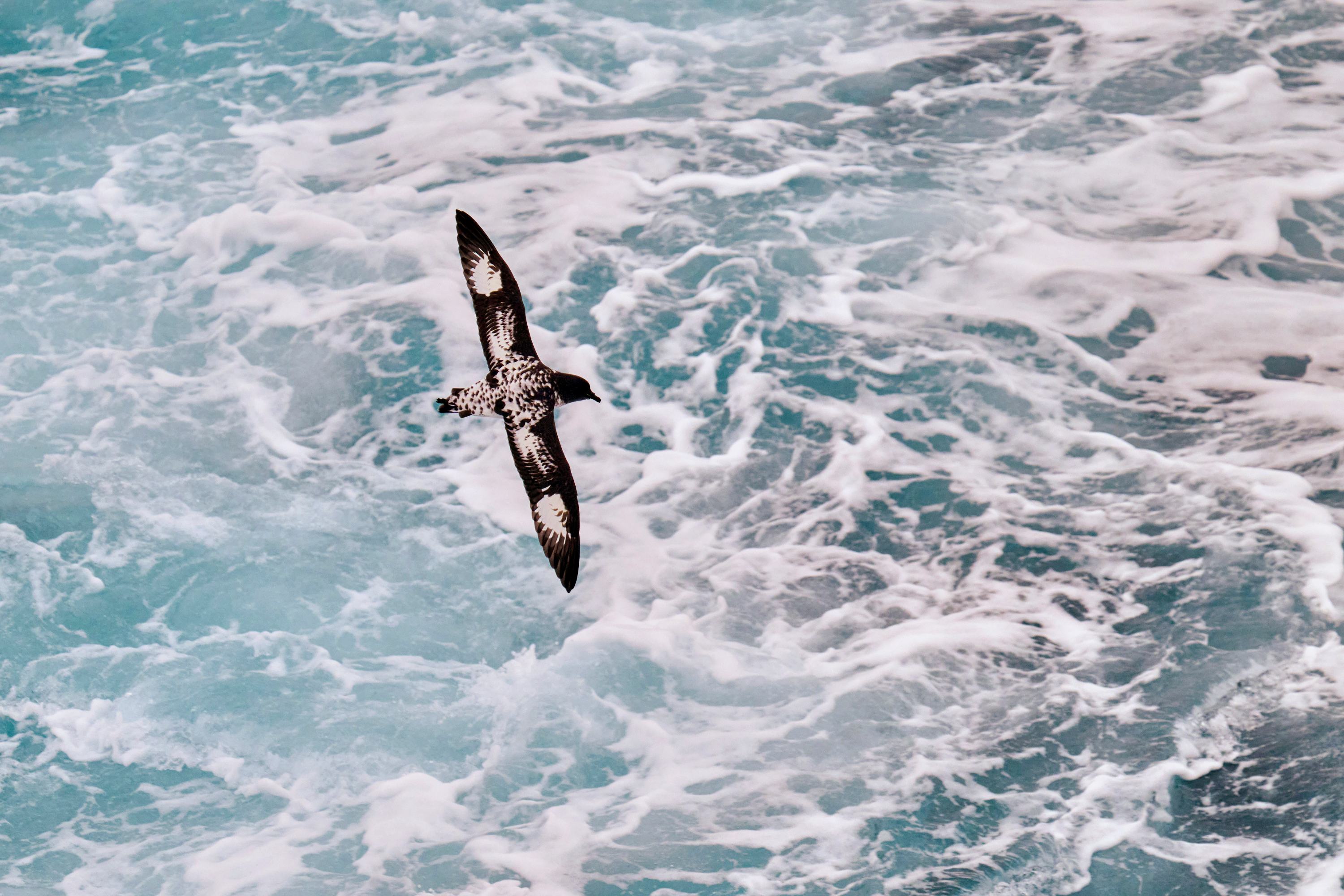 Eine Reise die bleibt an Bord der MS Sylvia Earle Eine Reise die bleibt an Bord der MS Sylvia Earle